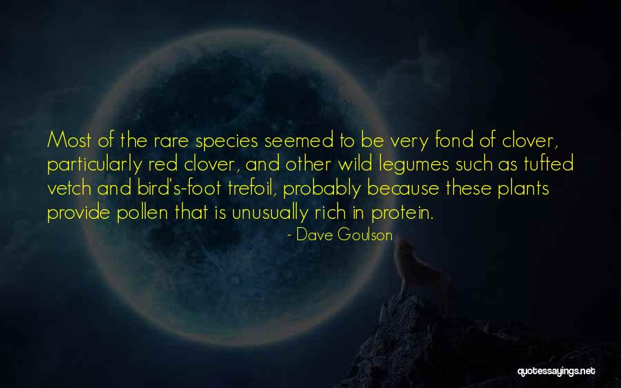 As Red As Quotes By Dave Goulson As Red As Quotes By Dave Goulson