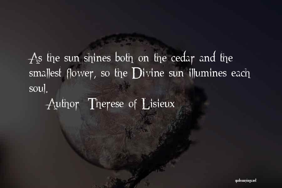 As The Sun Shines Quotes By Therese Of Lisieux