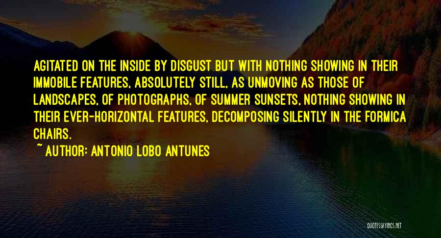 As The Sunsets Quotes By Antonio Lobo Antunes