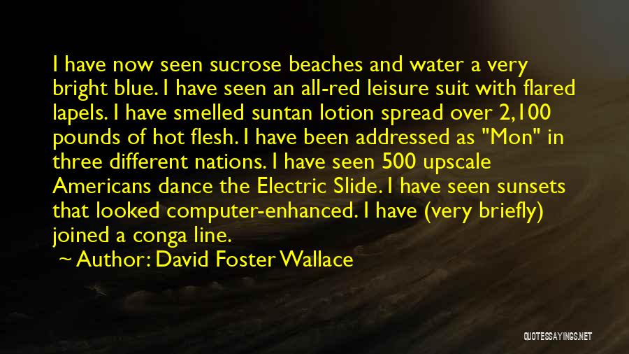 As The Sunsets Quotes By David Foster Wallace