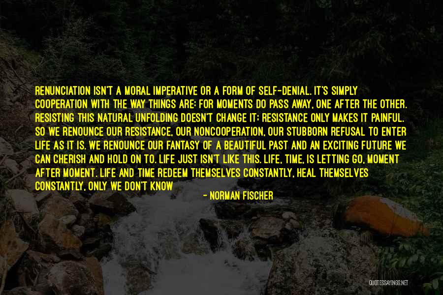 As Time Pass Quotes By Norman Fischer As Time Pass Quotes By Norman Fischer