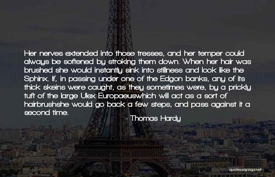 As Time Pass Quotes By Thomas Hardy As Time Pass Quotes By Thomas Hardy