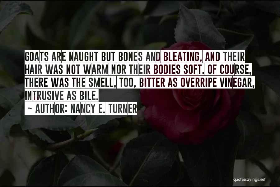 As Warm As Quotes By Nancy E. Turner