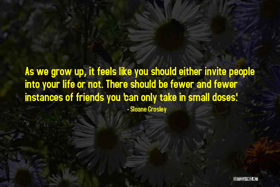 As We Grow Up Friends Quotes By Sloane Crosley As We Grow Up Friends Quotes By Sloane Crosley