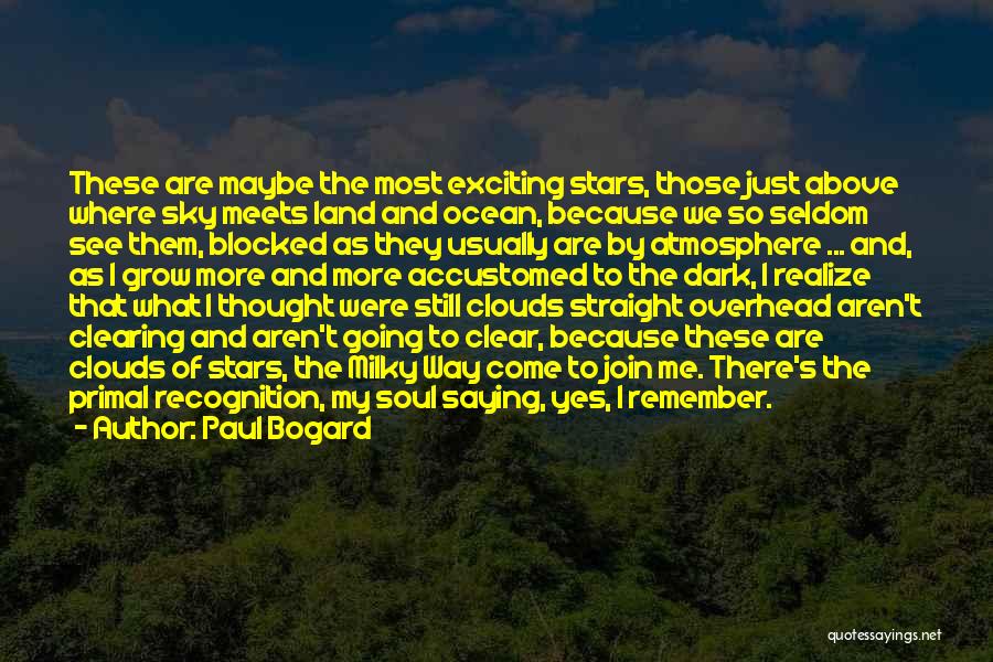 As We Grow Up We Realize Quotes By Paul Bogard