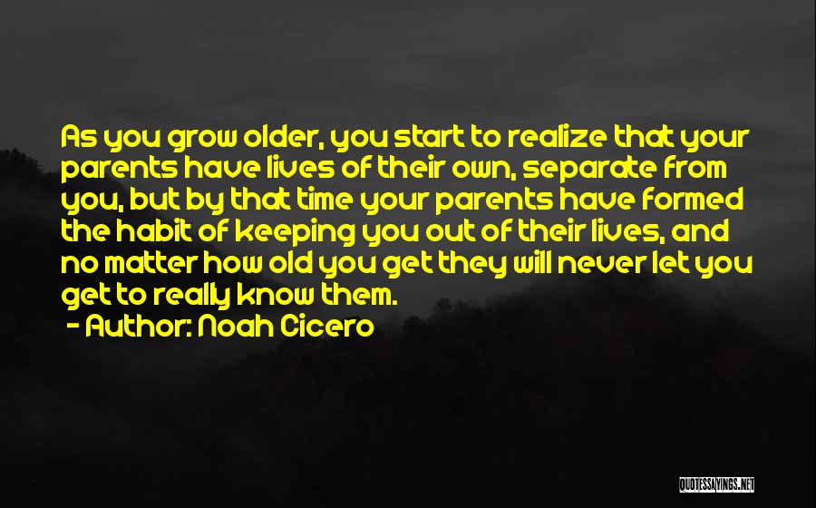 As You Grow Older You Realize Quotes By Noah Cicero