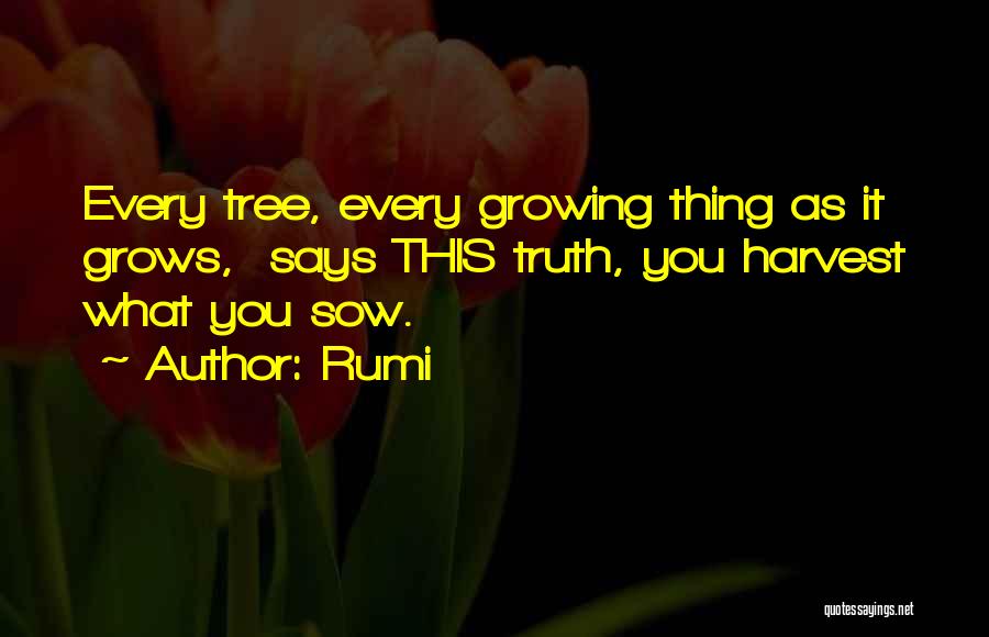 As You Sow Quotes By Rumi