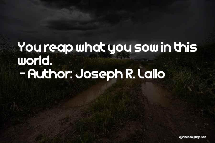 As You Sow So You Reap Quotes By Joseph R. Lallo