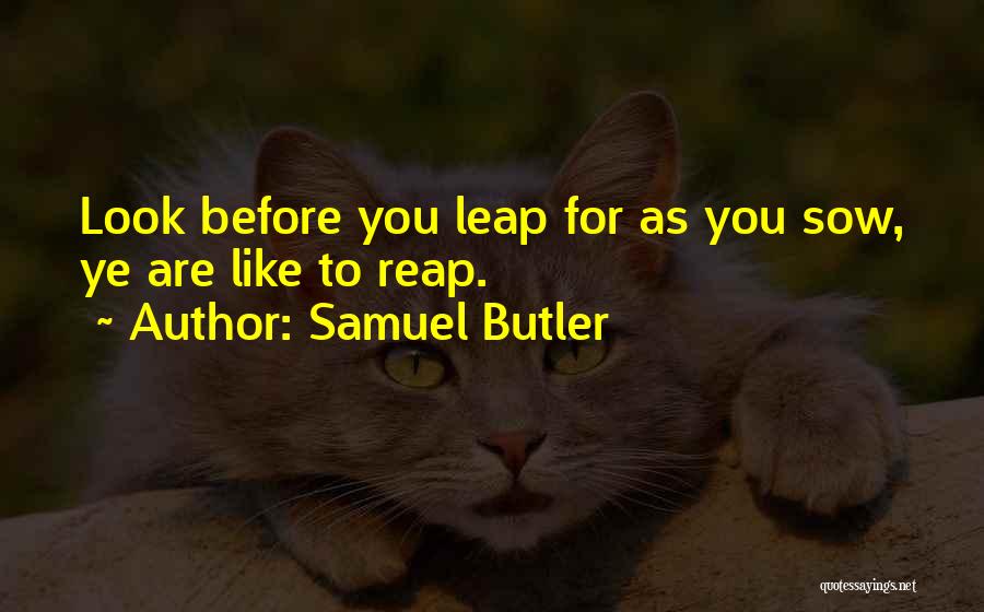 As You Sow So You Reap Quotes By Samuel Butler