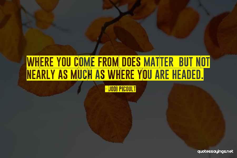 As You Travel Quotes By Jodi Picoult
