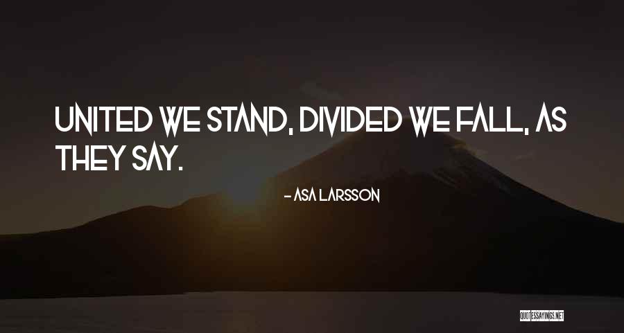 Asa Larsson Quotes 315596