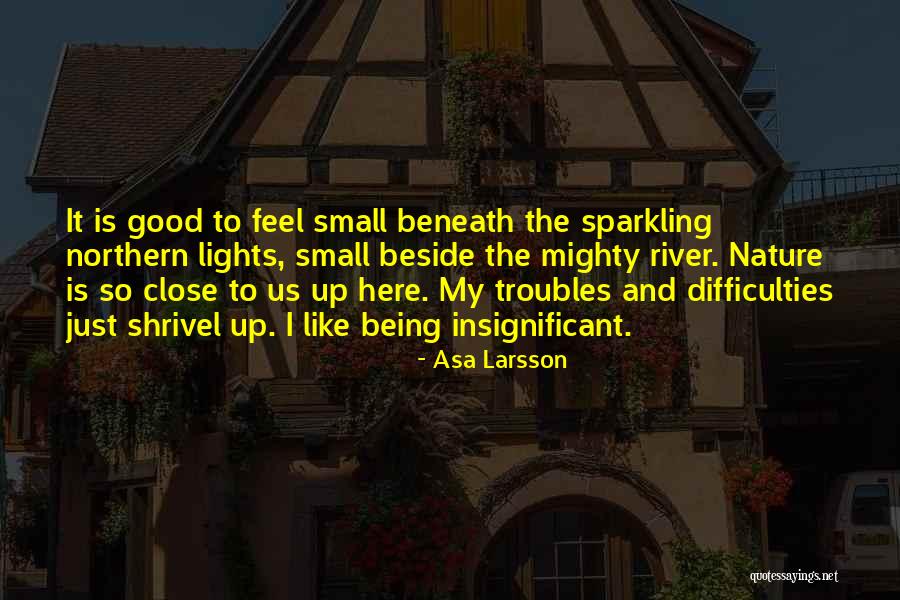 Asa Larsson Quotes 605311 Asa Larsson Quotes 605311