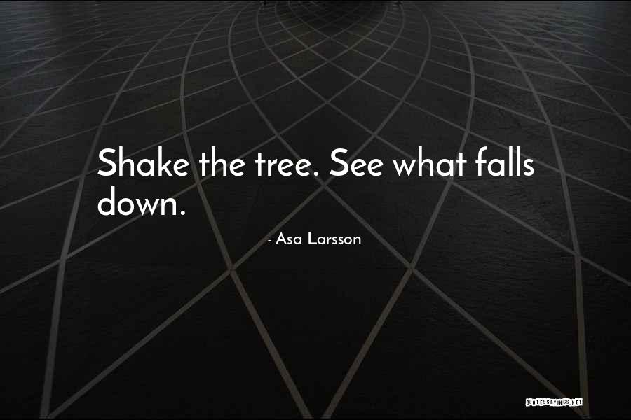 Asa Larsson Quotes 810958