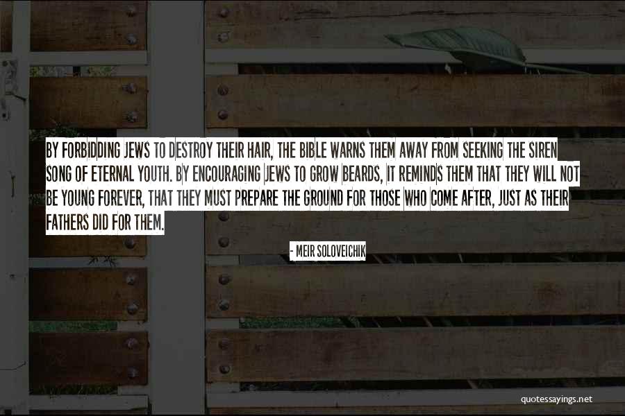 Asadorian Anita Quotes By Meir Soloveichik Asadorian Anita Quotes By Meir Soloveichik