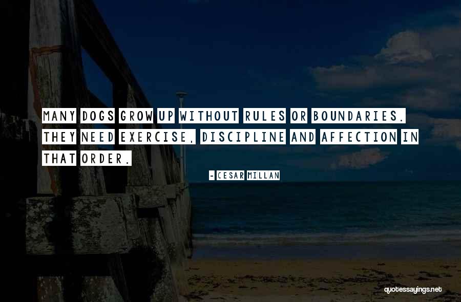 Asaltando Quotes By Cesar Millan Asaltando Quotes By Cesar Millan