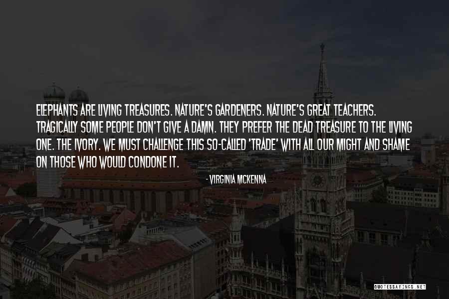 Asalto En Quotes By Virginia McKenna Asalto En Quotes By Virginia McKenna