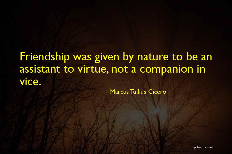 Asaro Olive Oil Quotes By Marcus Tullius Cicero Asaro Olive Oil Quotes By Marcus Tullius Cicero