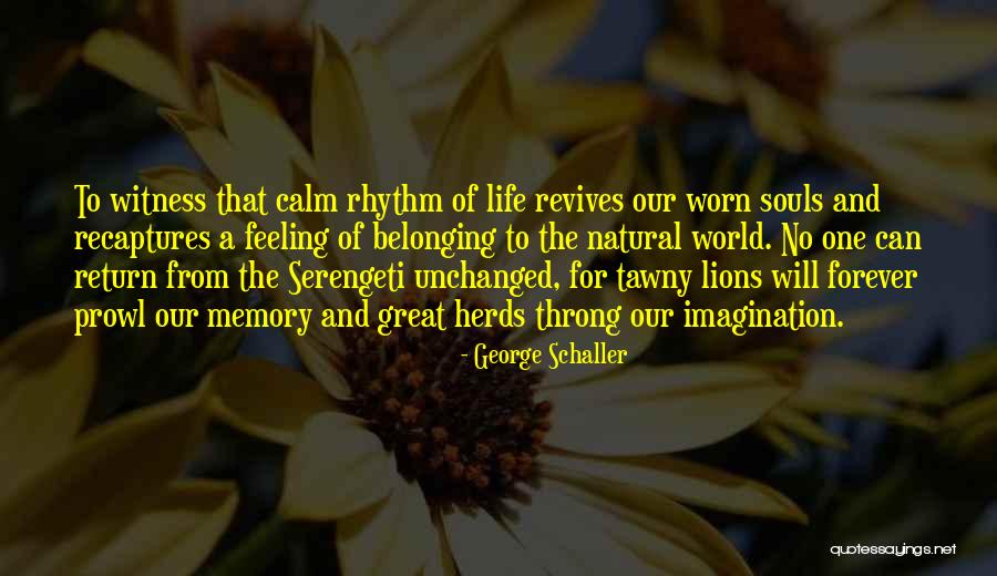 Asasinul Quotes By George Schaller Asasinul Quotes By George Schaller