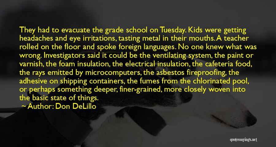 Asbestos Quotes By Don DeLillo