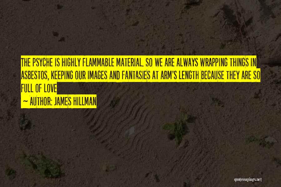 Asbestos Quotes By James Hillman