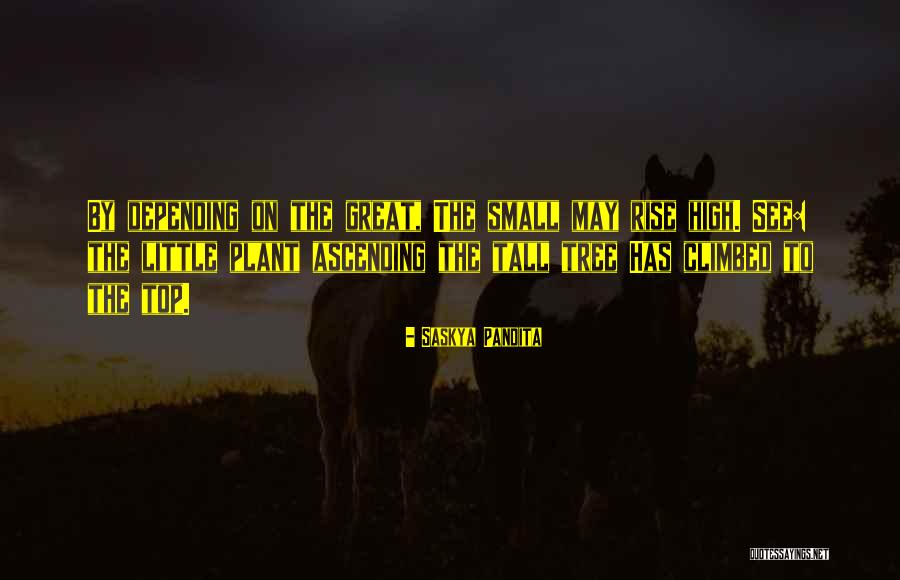 Ascending Quotes By Saskya Pandita Ascending Quotes By Saskya Pandita