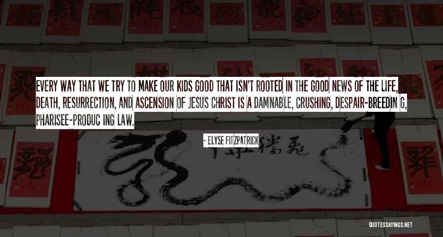 Ascension Quotes By Elyse Fitzpatrick Ascension Quotes By Elyse Fitzpatrick