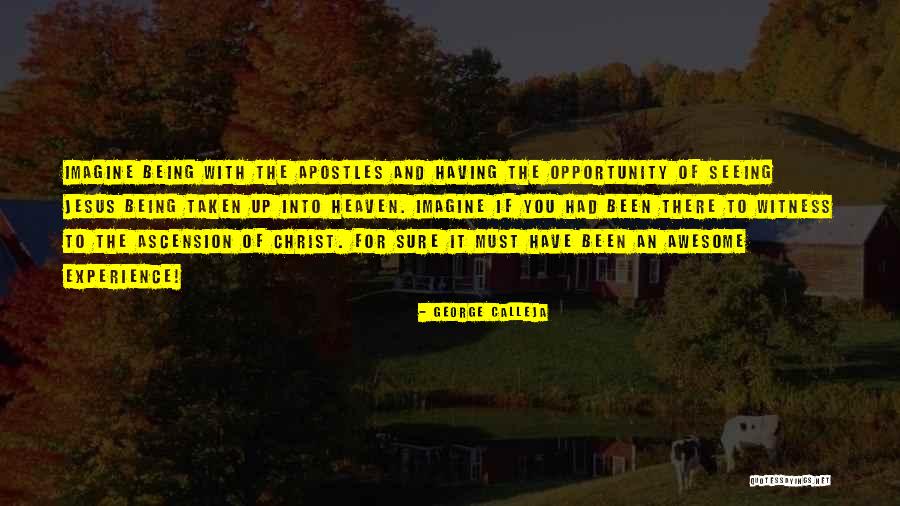 Ascension Quotes By George Calleja Ascension Quotes By George Calleja