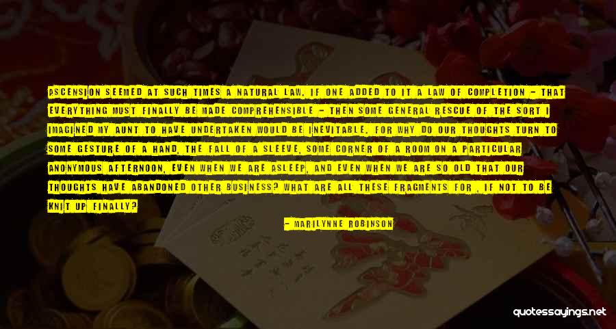 Ascension Quotes By Marilynne Robinson Ascension Quotes By Marilynne Robinson