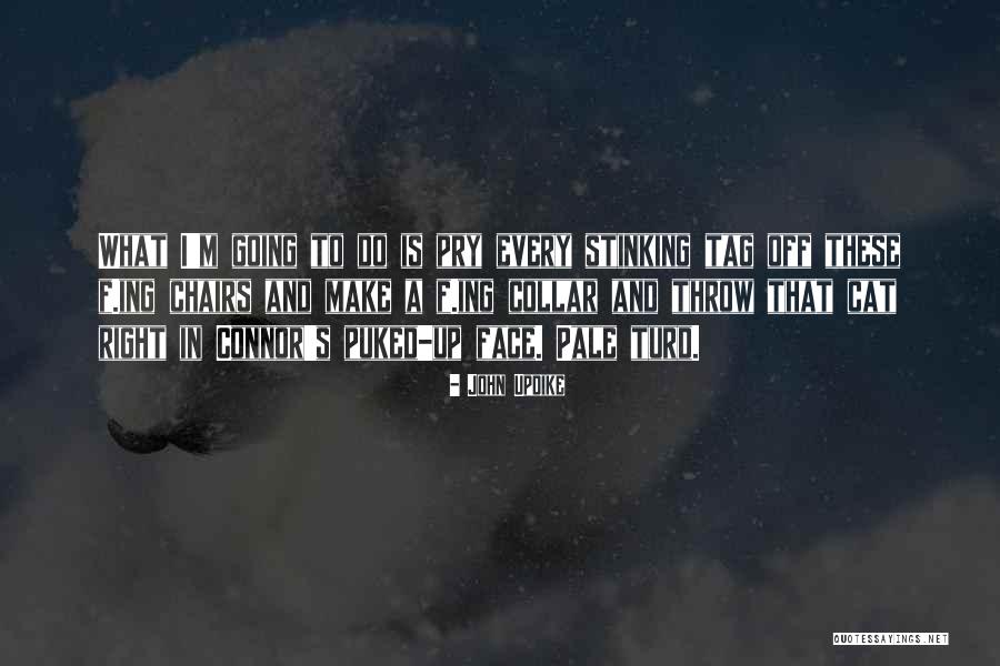 Ascensos Quotes By John Updike Ascensos Quotes By John Updike
