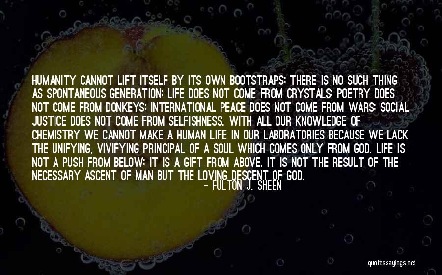 Ascent Of Humanity Quotes By Fulton J. Sheen Ascent Of Humanity Quotes By Fulton J. Sheen