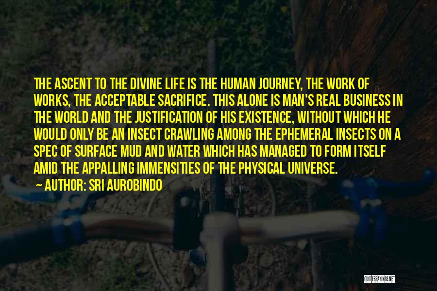 Ascent Of Man Quotes By Sri Aurobindo