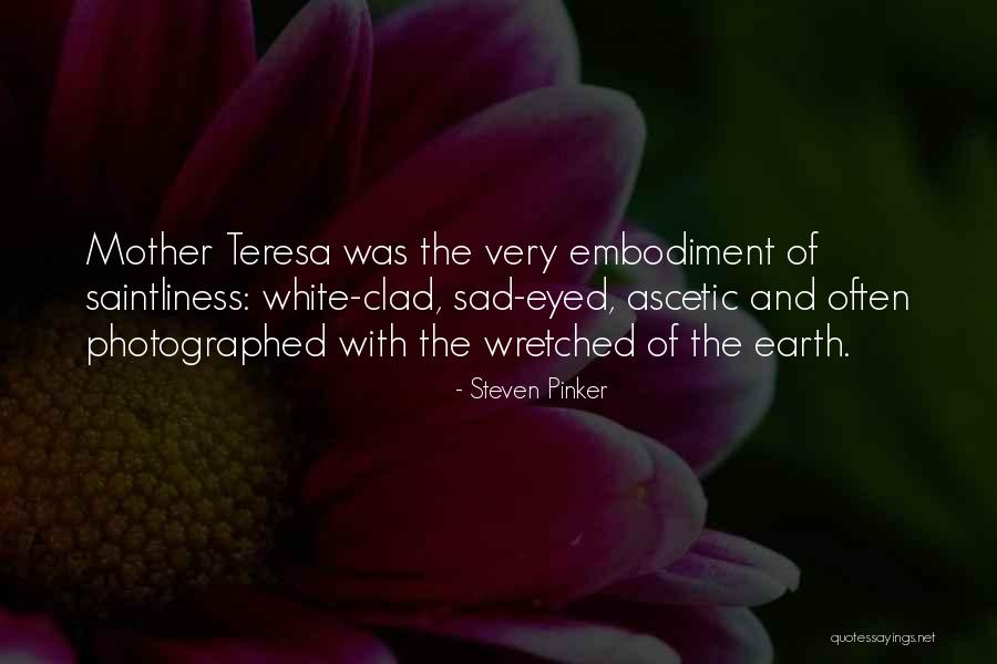 Ascetic Quotes By Steven Pinker Ascetic Quotes By Steven Pinker