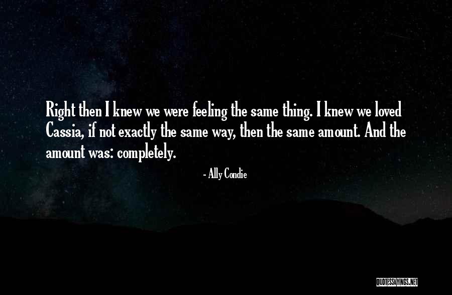Aschbrenner Acres Quotes By Ally Condie Aschbrenner Acres Quotes By Ally Condie