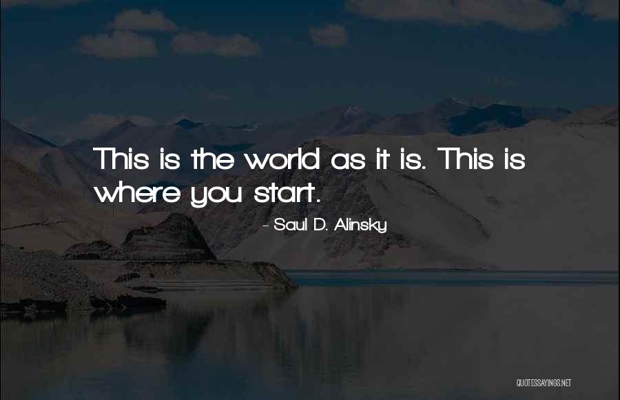 Ascott Orchard Quotes By Saul D. Alinsky Ascott Orchard Quotes By Saul D. Alinsky