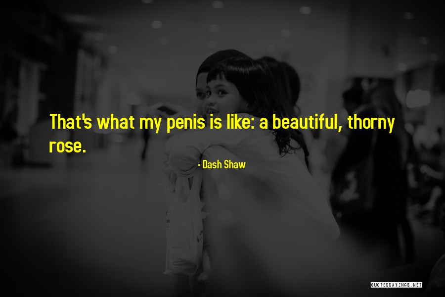 Asdsad Quotes By Dash Shaw Asdsad Quotes By Dash Shaw