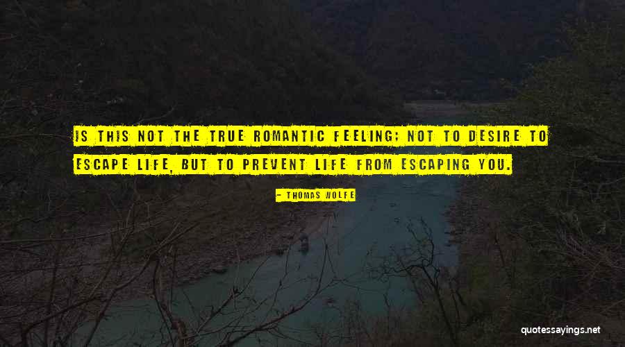 Asear La Quotes By Thomas Wolfe Asear La Quotes By Thomas Wolfe