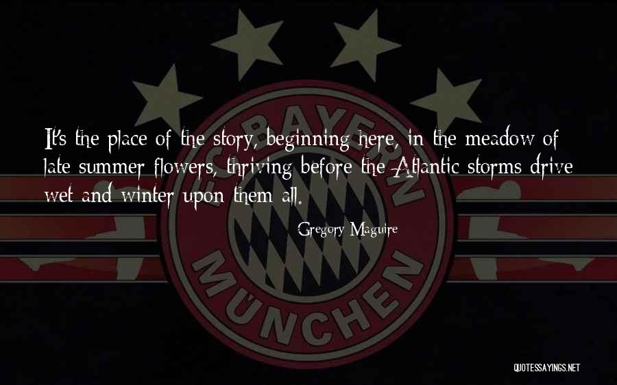 Aseel Soueid Quotes By Gregory Maguire Aseel Soueid Quotes By Gregory Maguire