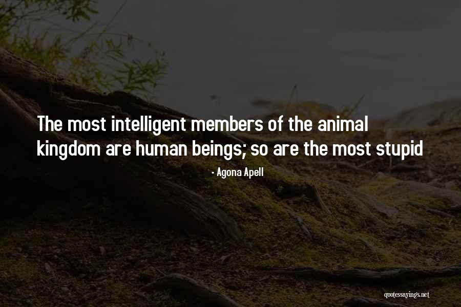 Asequible Rae Quotes By Agona Apell Asequible Rae Quotes By Agona Apell