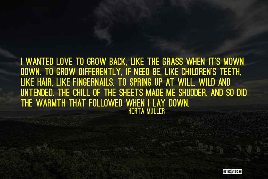 Asesor En Quotes By Herta Muller Asesor En Quotes By Herta Muller