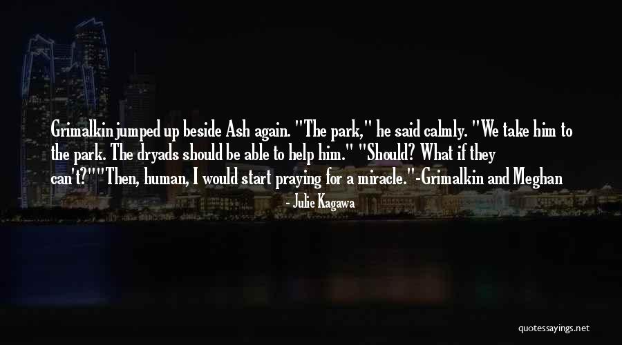 Ash Julie Kagawa Quotes By Julie Kagawa Ash Julie Kagawa Quotes By Julie Kagawa