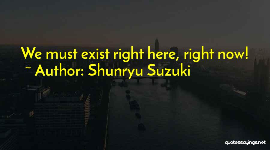 Ash Williams Evil Dead Quotes By Shunryu Suzuki