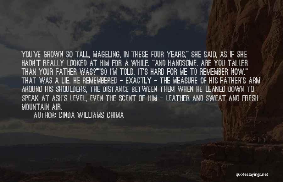 Ash Williams Quotes By Cinda Williams Chima