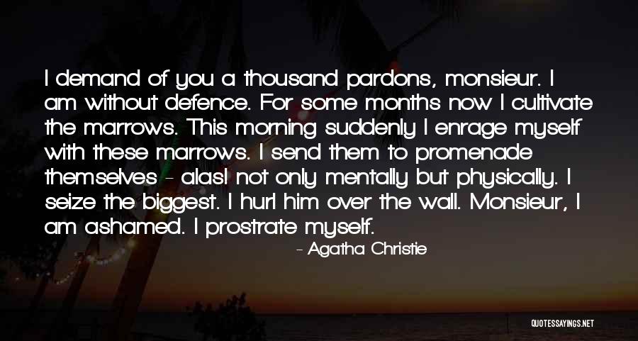 Ashamed Of Myself Quotes By Agatha Christie Ashamed Of Myself Quotes By Agatha Christie