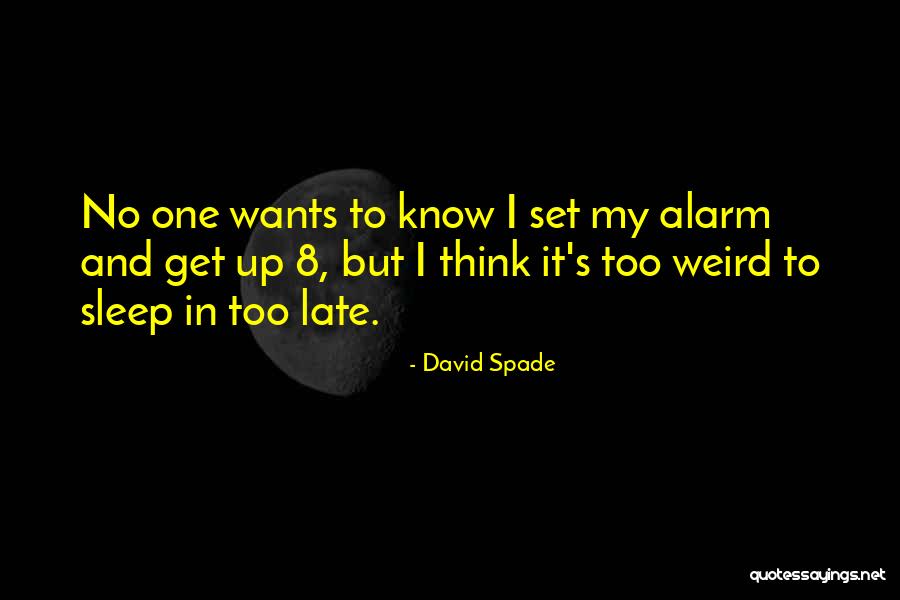 Ashbrooke Hotel Quotes By David Spade Ashbrooke Hotel Quotes By David Spade