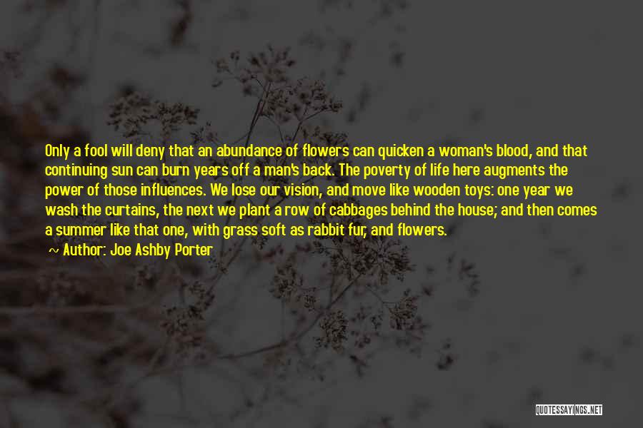 Ashby Quotes By Joe Ashby Porter