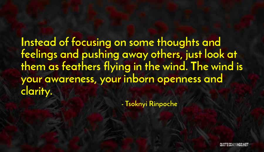 Ashdale Gardens Quotes By Tsoknyi Rinpoche Ashdale Gardens Quotes By Tsoknyi Rinpoche
