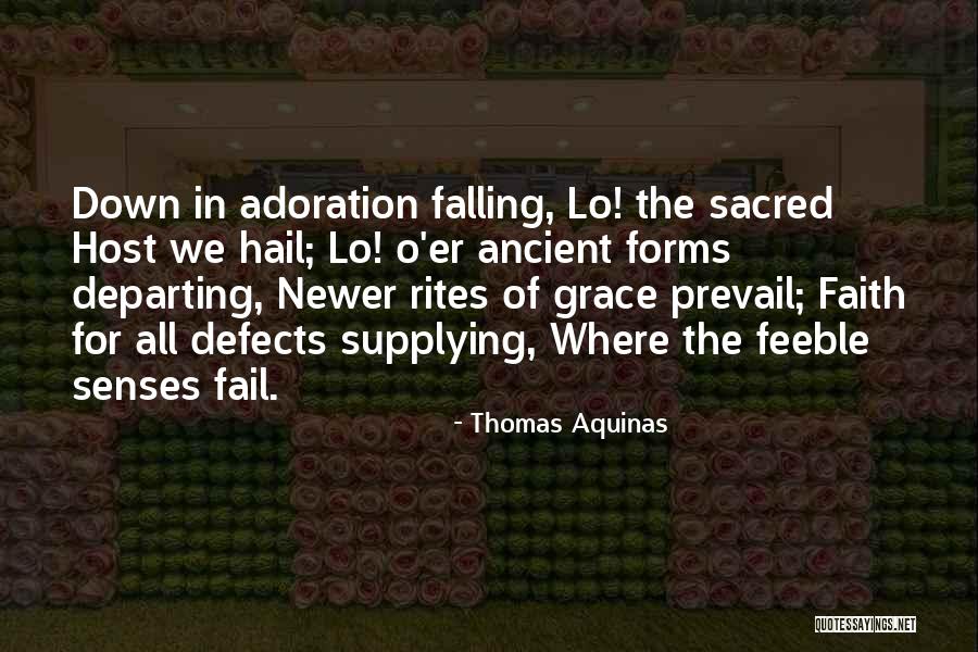Ashen White Granite Quotes By Thomas Aquinas Ashen White Granite Quotes By Thomas Aquinas