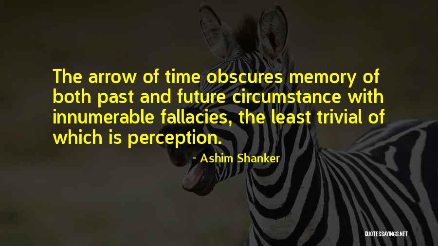 Ashim Shanker Quotes 1444847