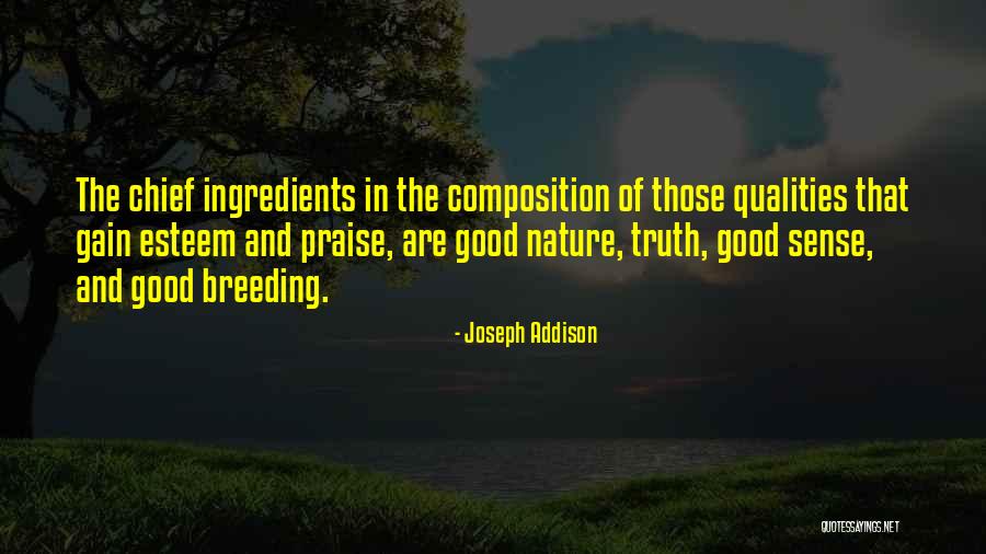Ashitaka And San Quotes By Joseph Addison Ashitaka And San Quotes By Joseph Addison