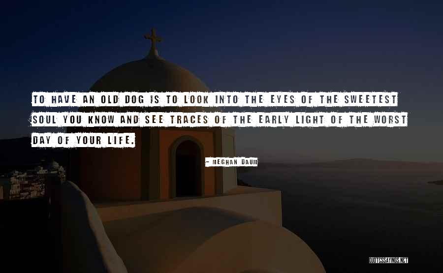 Ashitaka And San Quotes By Meghan Daum Ashitaka And San Quotes By Meghan Daum